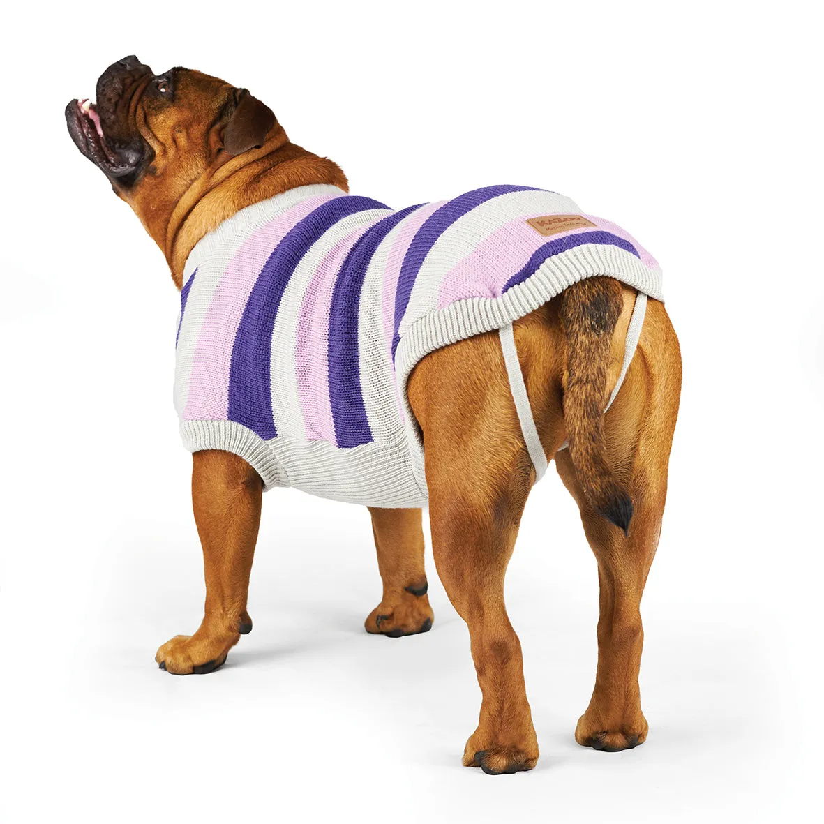 Bumble Dog Jumper - Lavender
