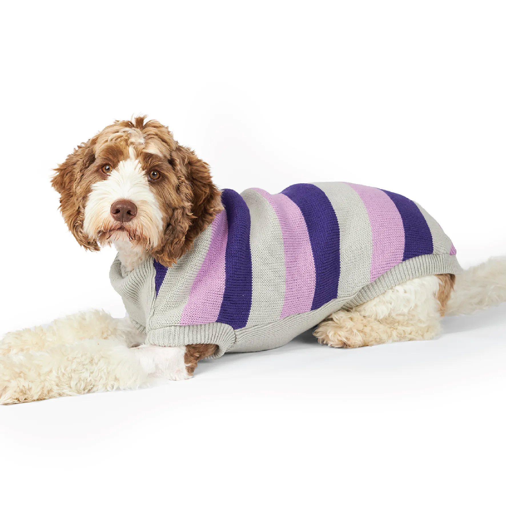 Bumble Dog Jumper - Lavender