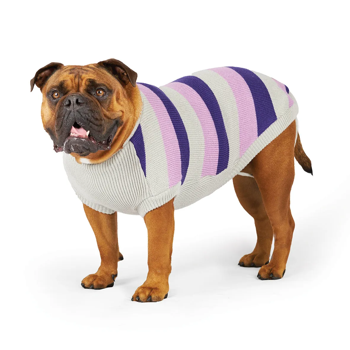Bumble Dog Jumper - Lavender