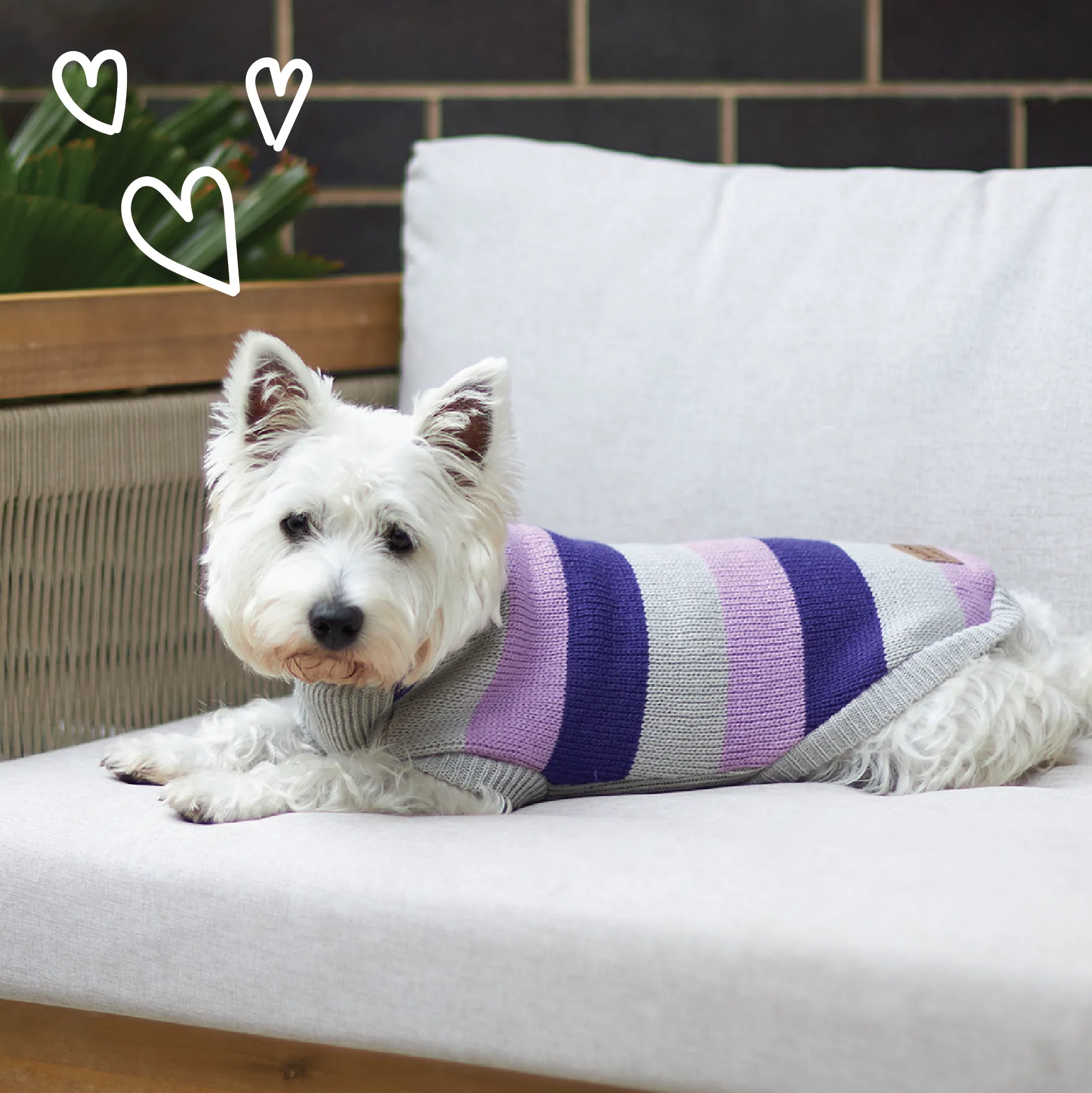 Bumble Dog Jumper - Lavender