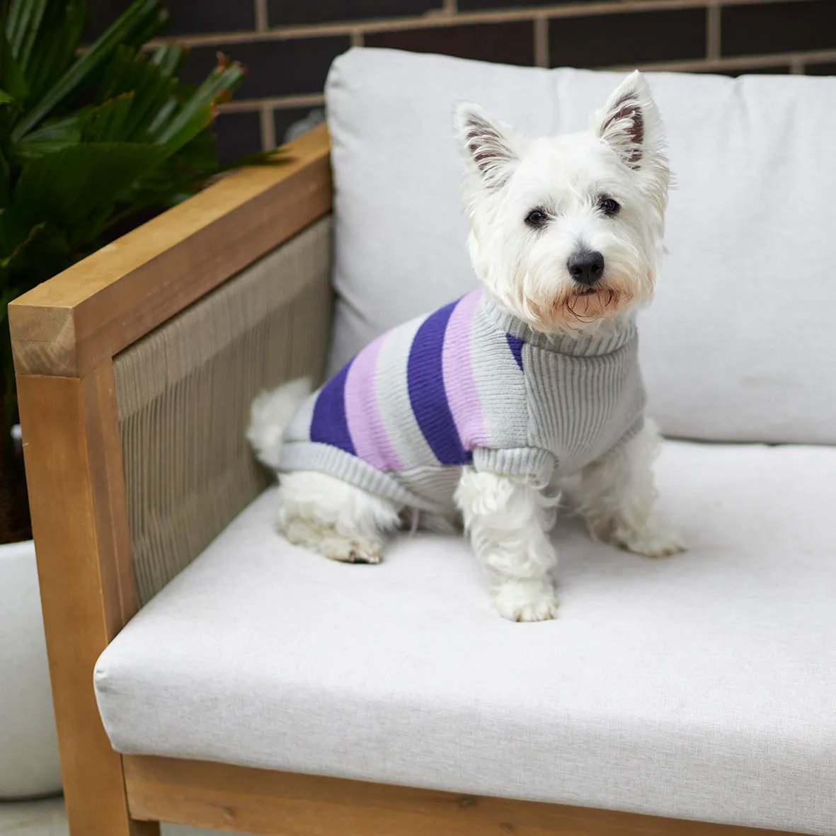 Bumble Dog Jumper - Lavender