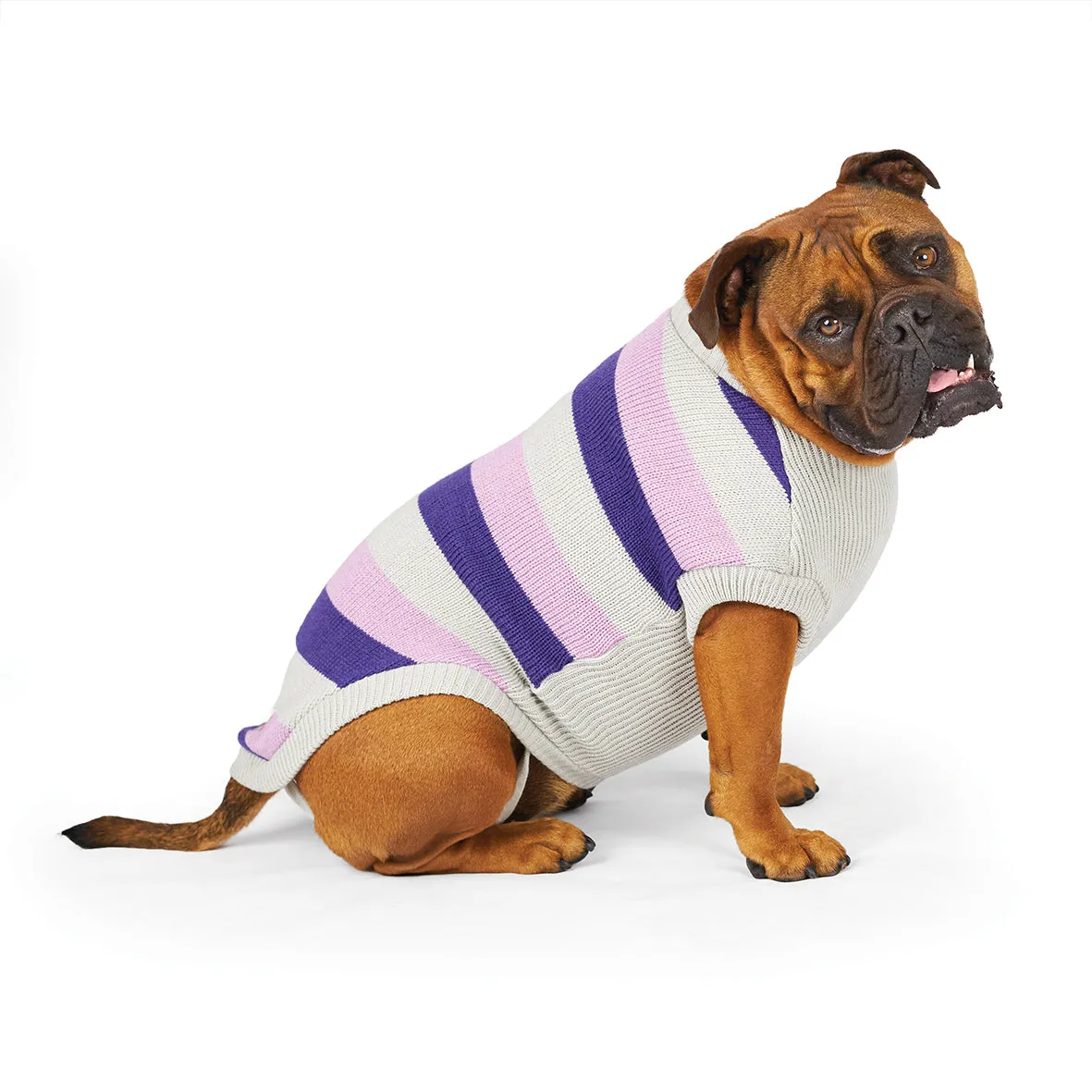 Bumble Dog Jumper - Lavender