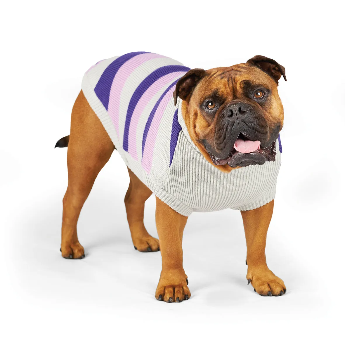 Bumble Dog Jumper - Lavender