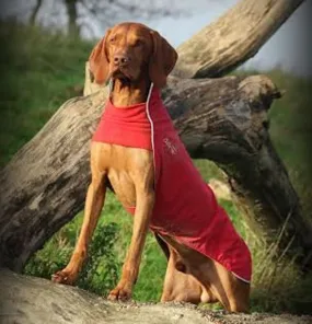 Chilly Dogs - Rain Slicker - Red