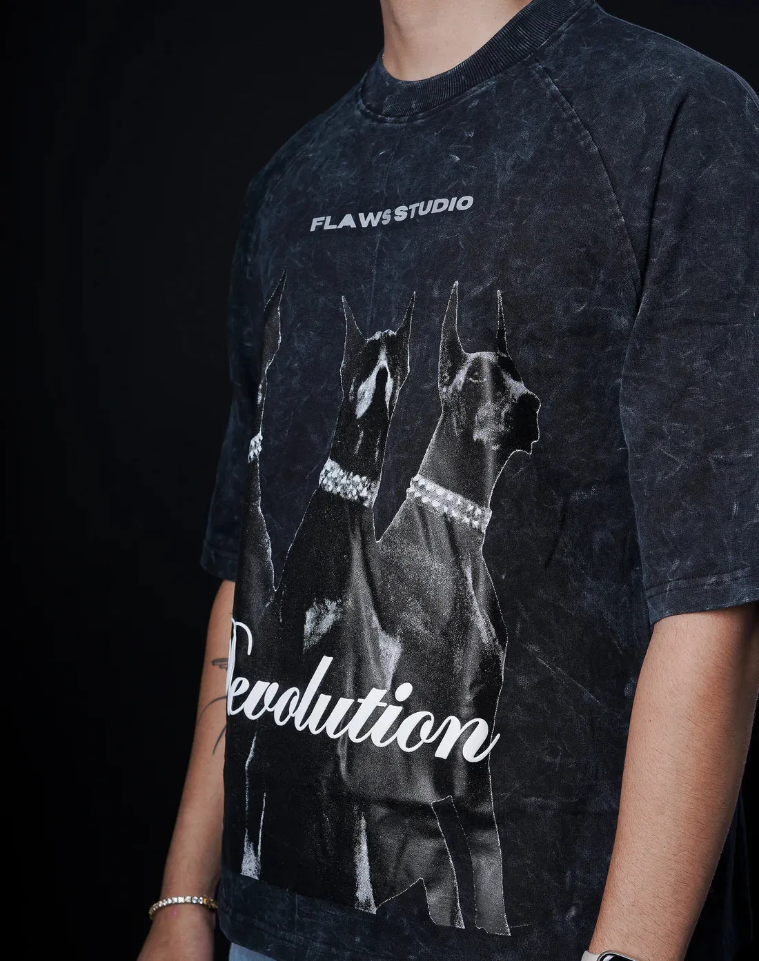Flawed Revolution T- shirt