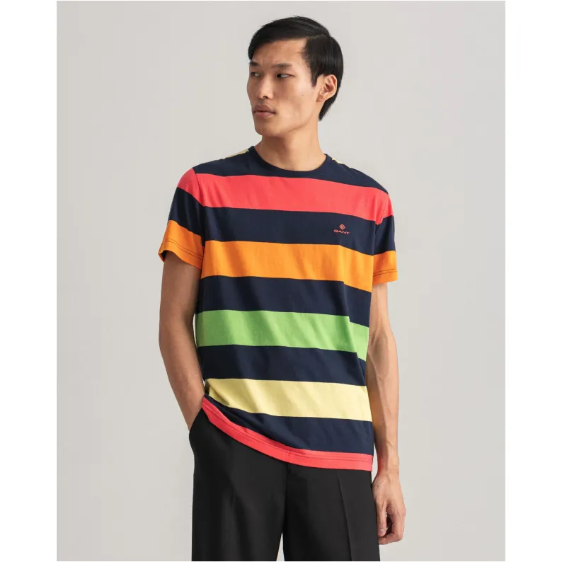 GANT Barstripe T-Shirt Multi Colour 2003008