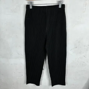 Issey Miyake Black Pleates Pants