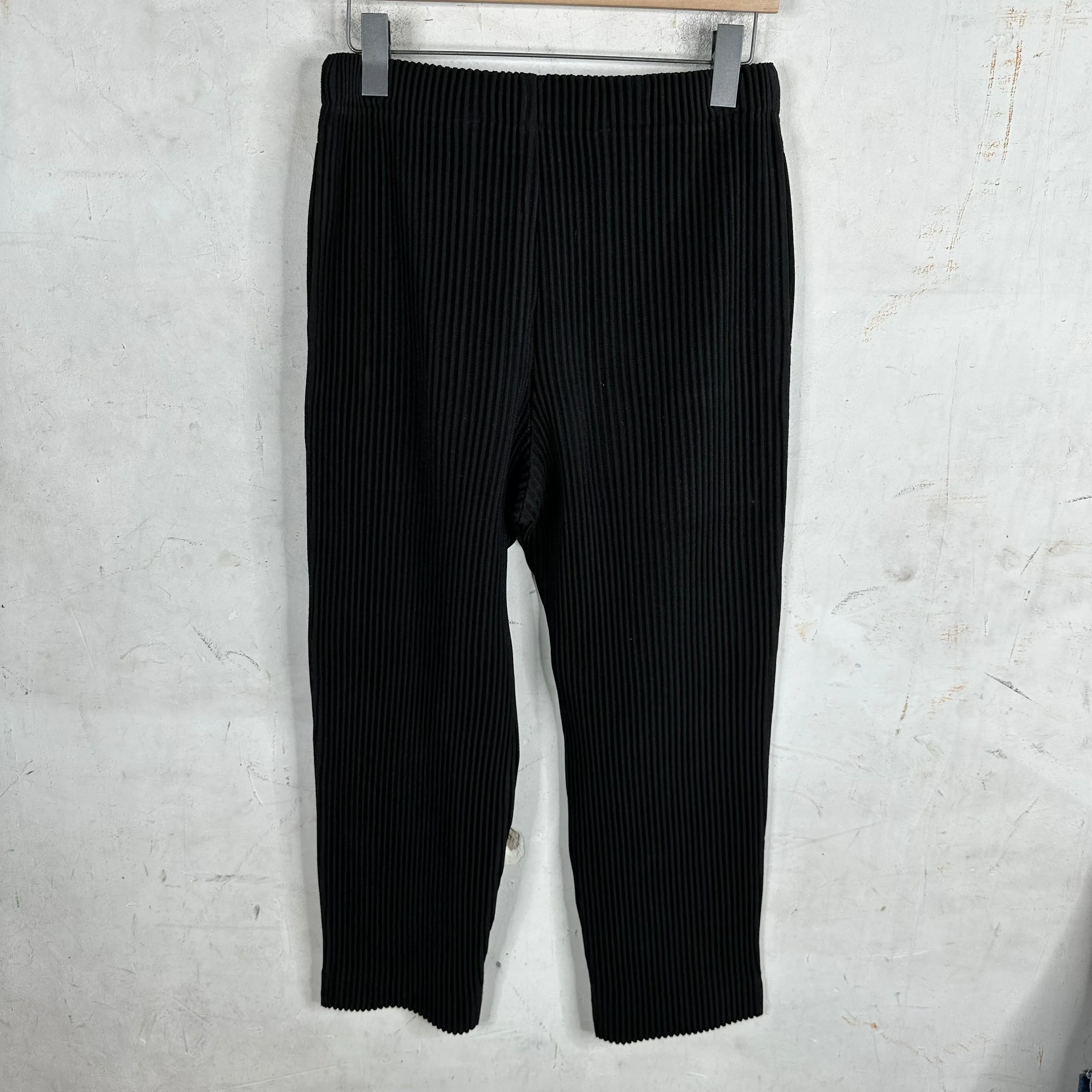 Issey Miyake Black Pleates Pants