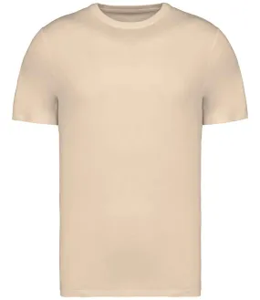Native Spirit Unisex Heavyweight T-Shirt | Apple Blossom