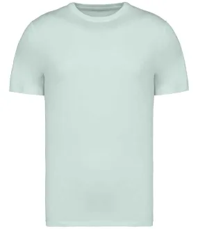 Native Spirit Unisex Heavyweight T-Shirt | Brook Green