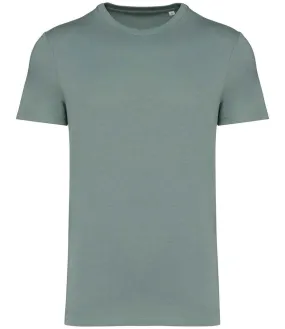 Native Spirit Unisex Heavyweight T-Shirt | Moss