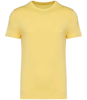 Native Spirit Unisex Heavyweight T-Shirt | Pineapple