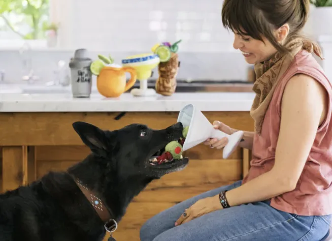 PLAY Barktender Pawtini