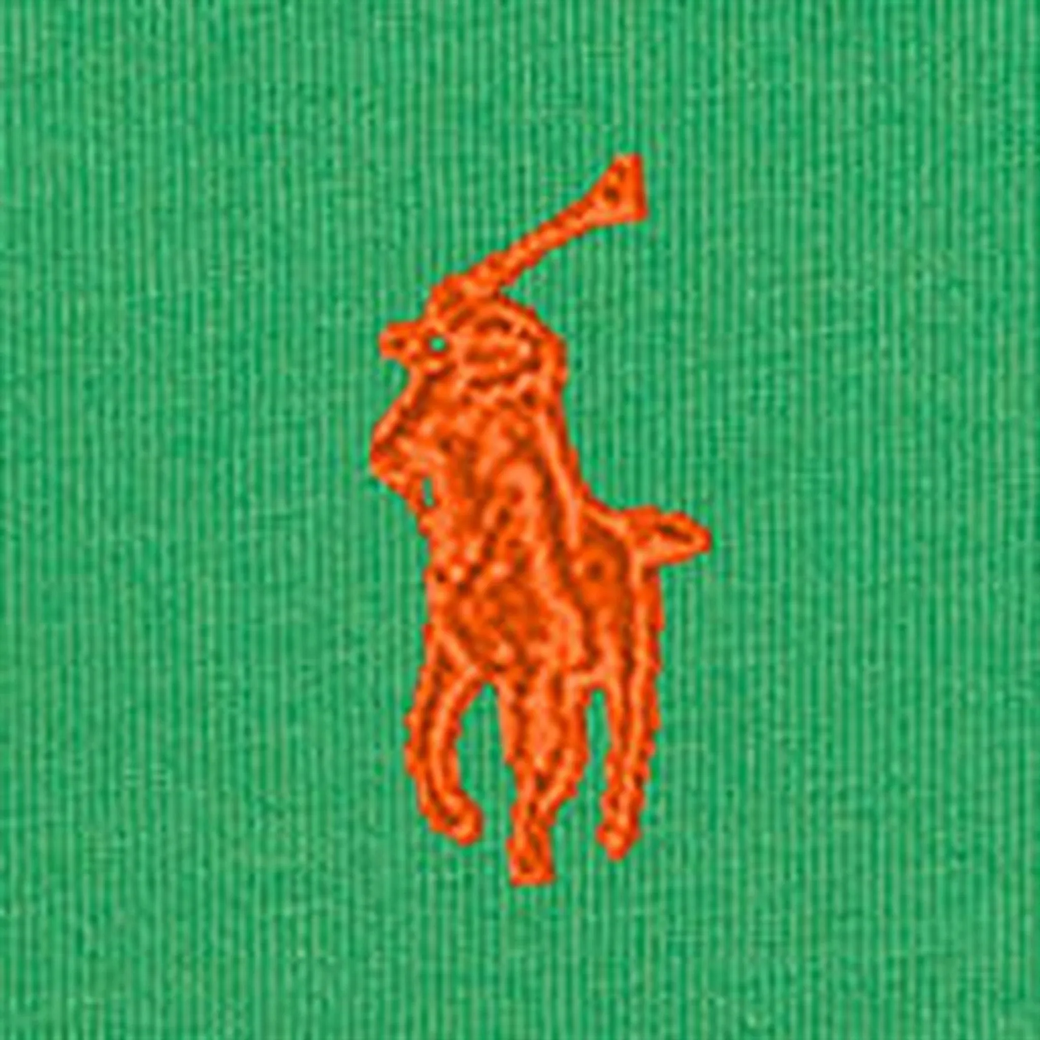 Ralph Lauren Baby T-Shirt Preppy Green